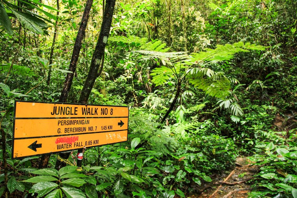 From Kuala Lumpur: Full-Day Taman Negara National Park - Frequently Asked Questions