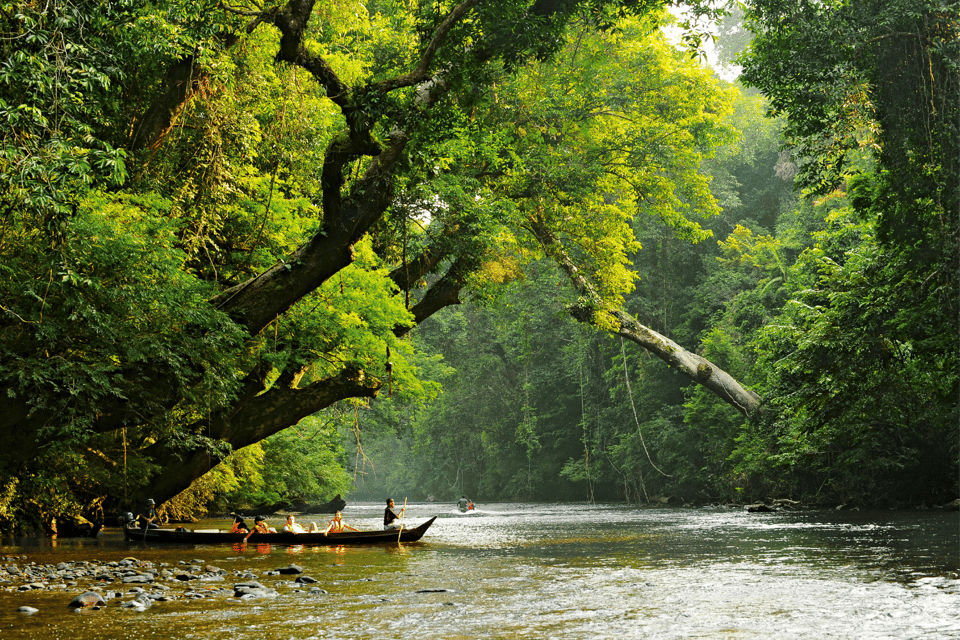 From Kuala Lumpur: Taman Negara National Park Private Tour - What to Bring