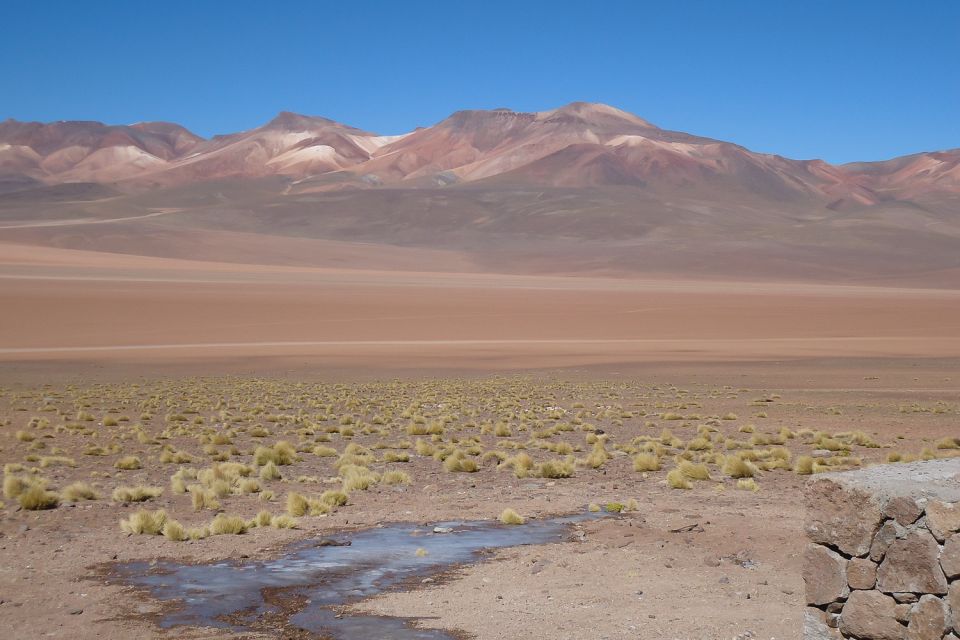 From La Paz to Atacama: Uyuni Salt Flats 4-Day Tour - Day 4: Geysers and Hot Springs