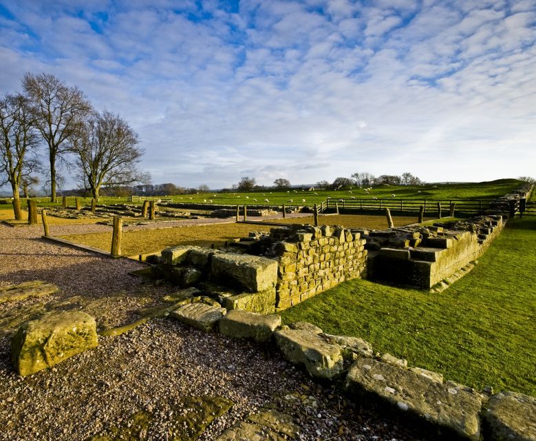 From Lake District: Roman Britain and Hadrians Wall Tour - Customer Reviews