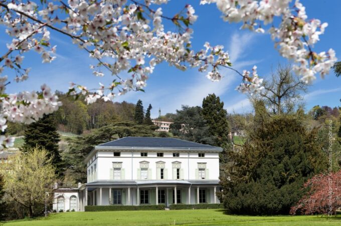 From Lausanne: Swiss Riviera Tour - Optional Activities