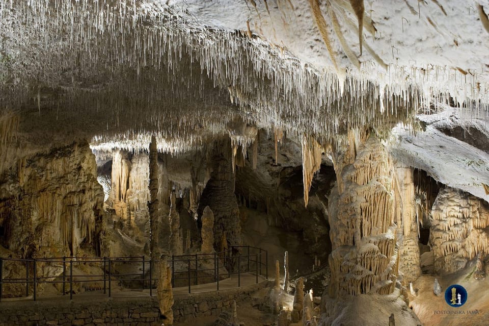 From Ljubljana: Postojna Cave & Predjama Castle & Piran Tour - Inclusions and Benefits