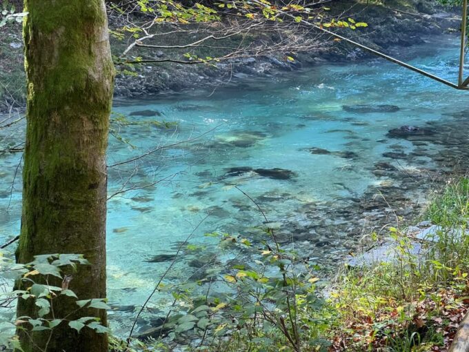 From Ljubljana: Triglav National Park Tour - PRIVATE - What to Expect