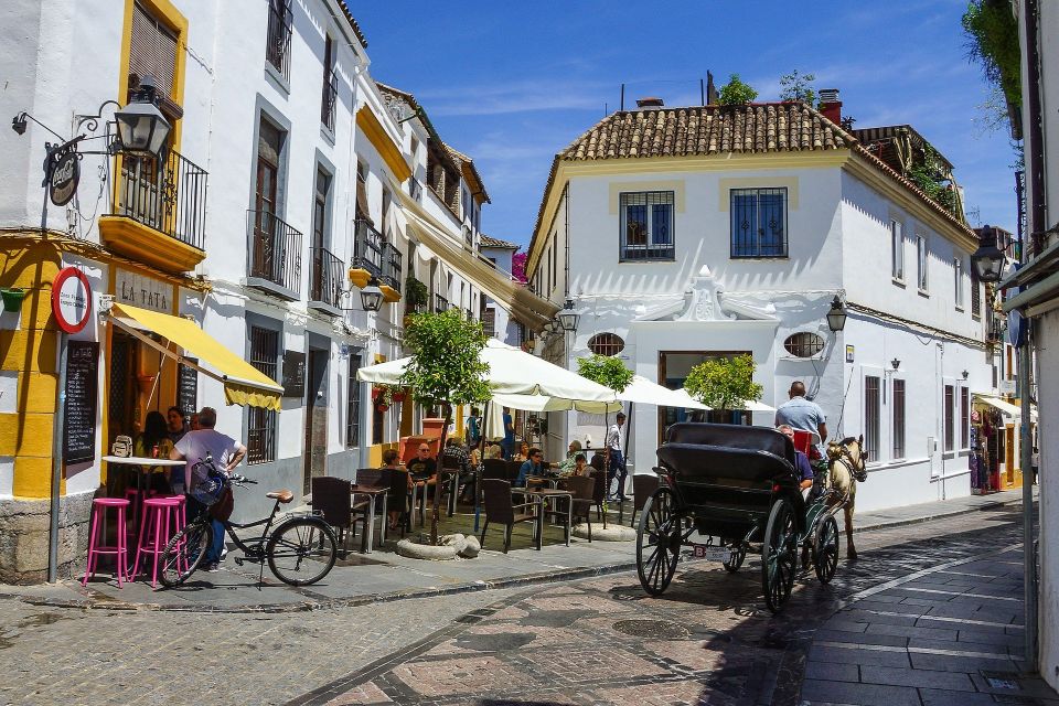 From Malaga: Private Guided Walking Tour of Córdoba - Architectural Wonders