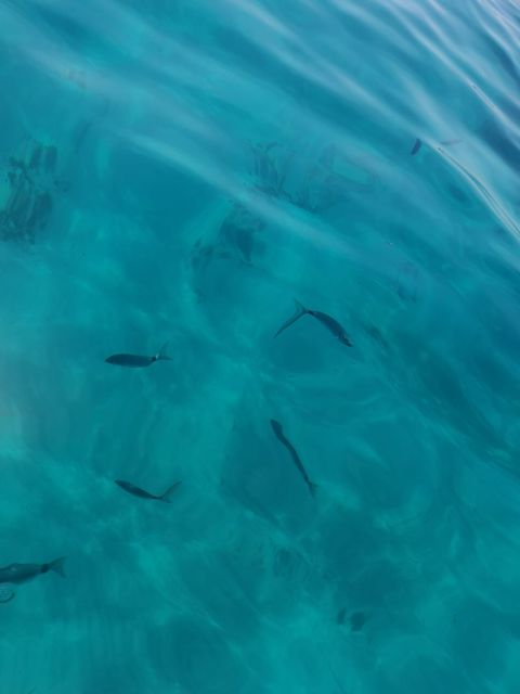 From Marseille: Frioul Islands Boat Tour With Swim Stop - What to Bring and Wear