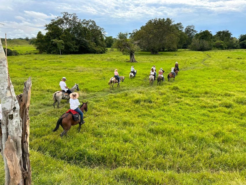 From Medellin; (All-In) The Real Horseback Ranch Experience - Wildlife Encounters