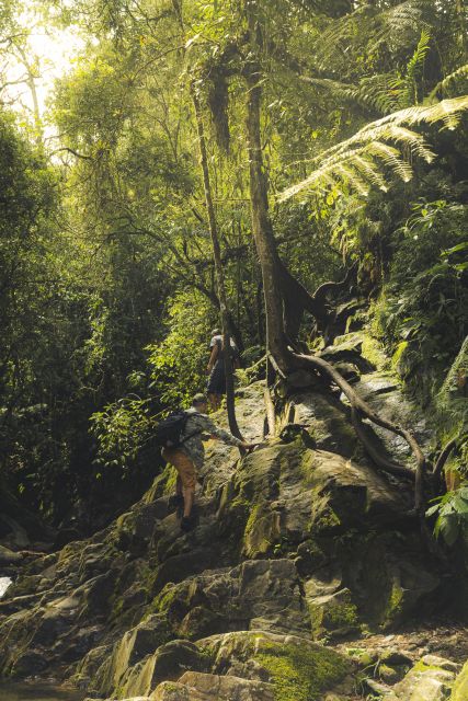 From Medellin Waterfalls: Guided Hiking Tour in Nature - Customer Experiences and Reviews