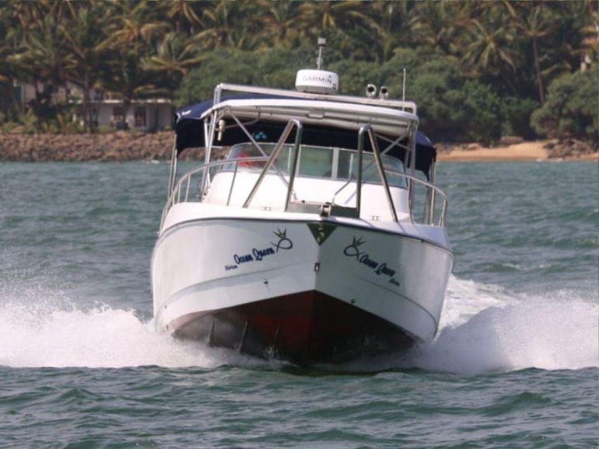 From Mirissa: Exclusive Whales & Dolphins Watching Tour - Supervised Swimming