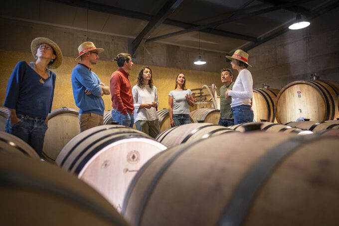 From Montpellier: Half-Day Vineyard & Pic Saint-Loup Tour - Booking Information
