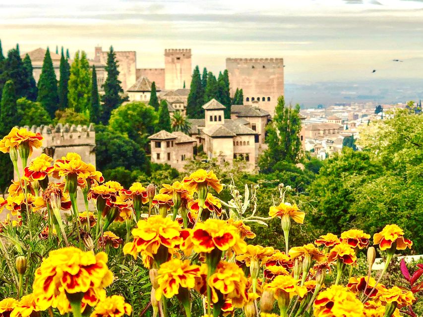 From Motril: Full-Day Private Tour of Alhambra - Customer Reviews