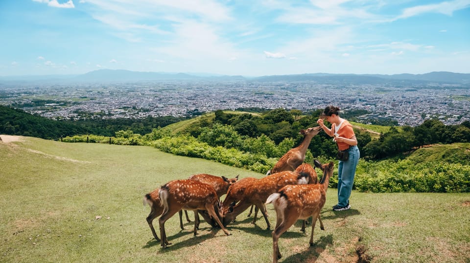 From Nara:Half-Day Bus Tour to UNESCO Heritage&Mt. Wakakusa - Tips for Travelers