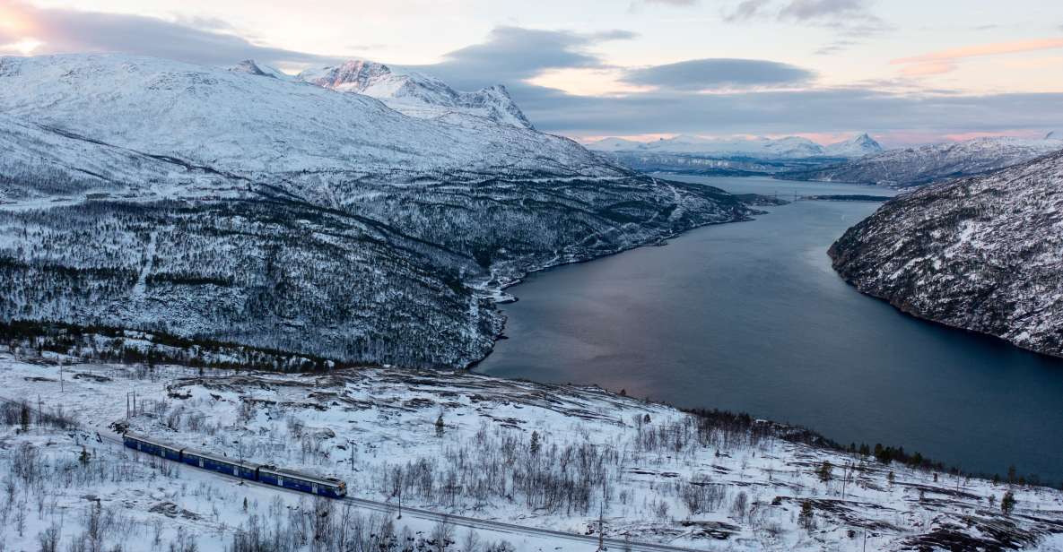 From Narvik: Round-Trip Arctic Train Ride on Ofoten Railway - Customer Reviews and Ratings