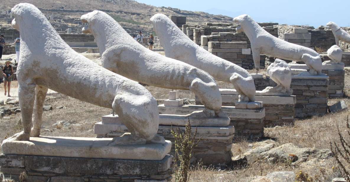 From Naxos: Delos and Mykonos Full-Day Boat Trip - Meeting Point and Logistics