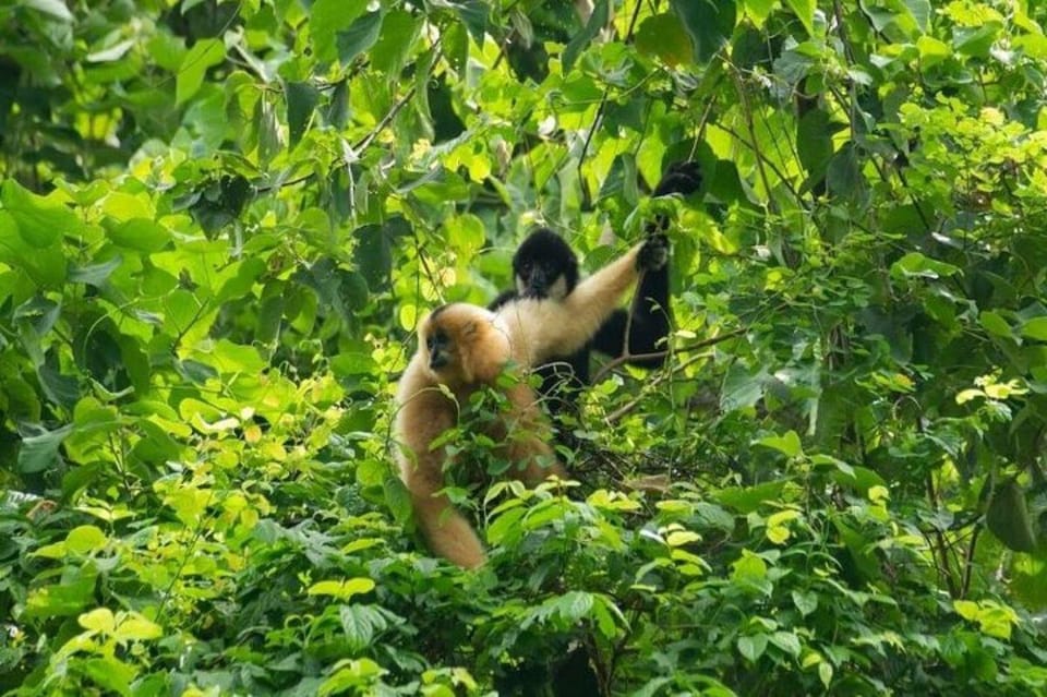 From Ninh Binh Cuc Phuong National Park Group Day Tour - Sights and Activities Explored