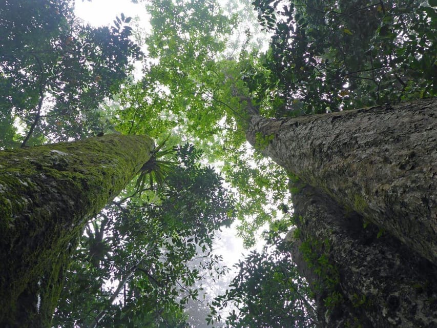 From Ninh Binh: Cuc Phuong National Park Guided Tour & Lunch - Tips for a Great Experience