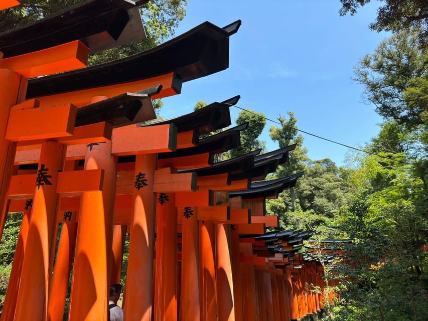 From Osaka: Kyoto Highlights One Day Private Tour - Customizable Itinerary