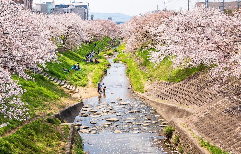 From Osaka: Nara, Uji Matcha Experience and Hot Spring Tour - Customer Reviews