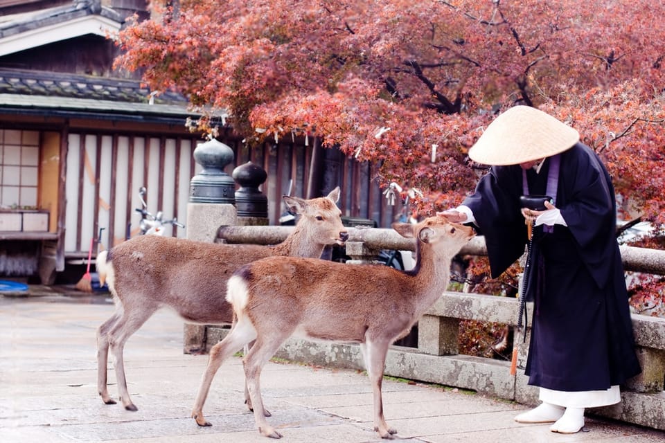 From Osaka or Kyoto: Kyoto and Nara Private Day Trip - Booking Information