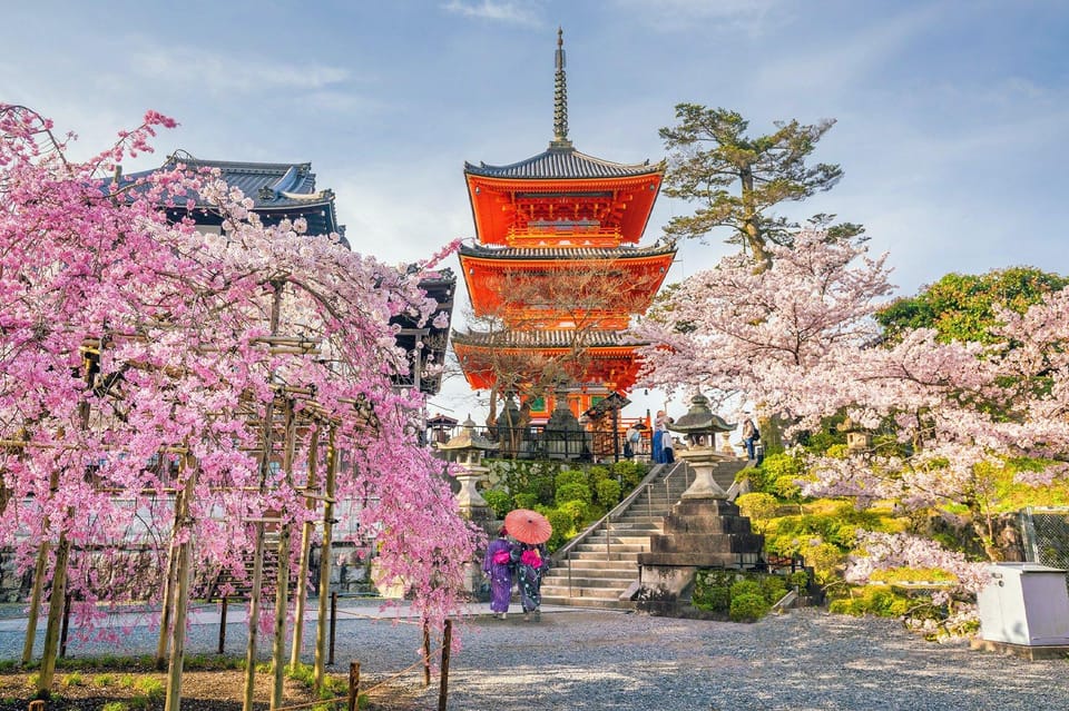 From Osaka or Kyoto : Kyoto & Nara Private Tour - Booking Information