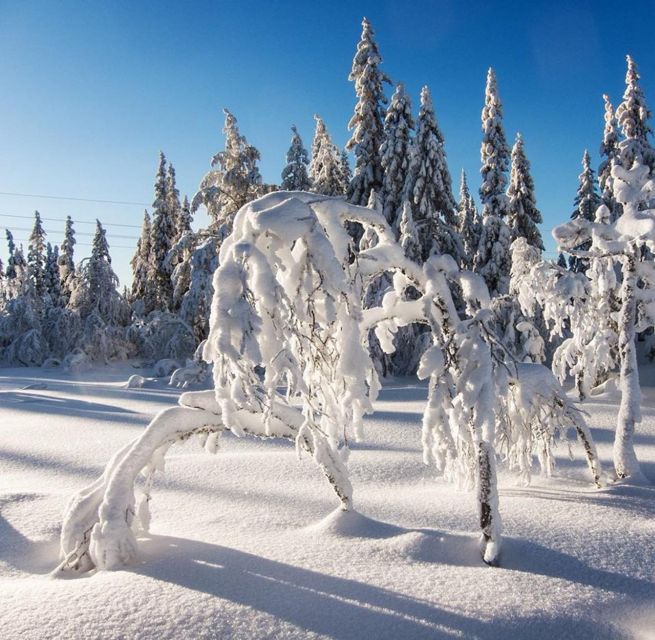 From Oslo: Oslomarka Forest Guided Snowshoeing Tour - What to Wear