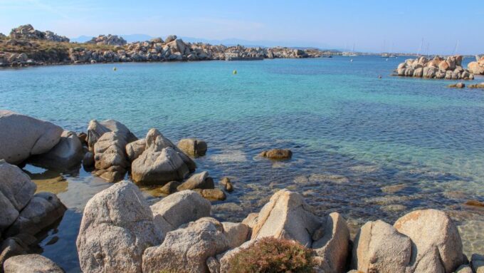 From Palau: South Corsica Trip by Wood Speedboat With Lunch - Customer Ratings and Feedback