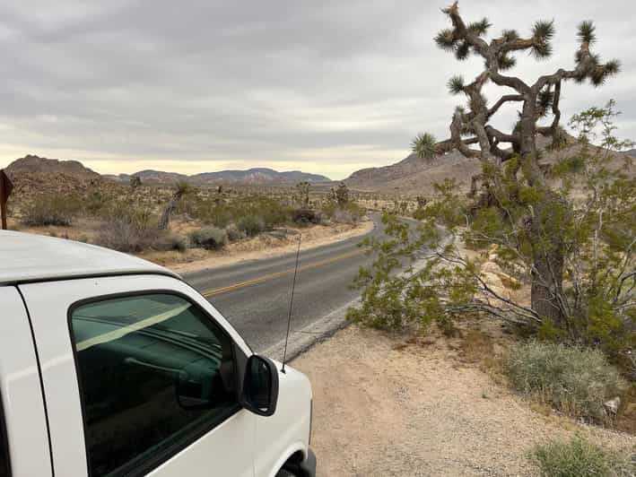 From Palm Springs: Joshua Tree National Park Driving Tour - Recommended Packing List