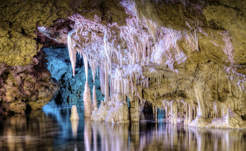 From Palma De Mallorca: Dinosaurland Tour - Dinosaur Discoveries