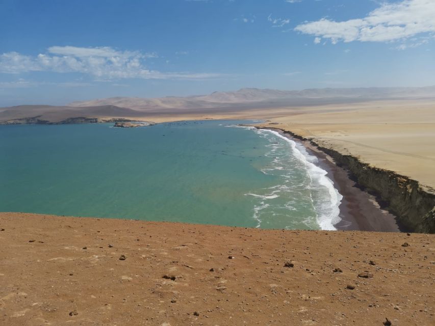 From Paracas: Ballestas Island Cruise & Paracas Reserve Tour - Customer Reviews and Ratings