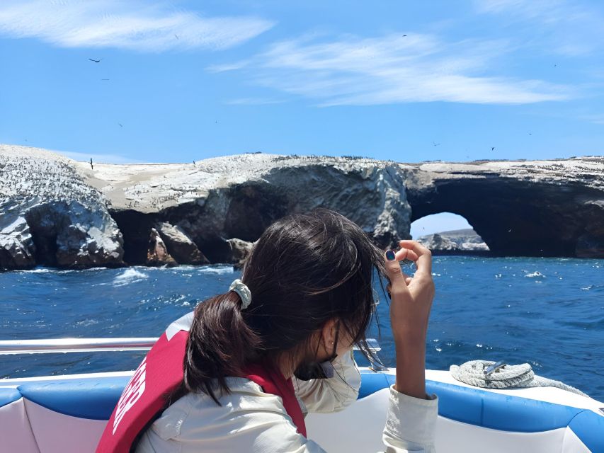 From Paracas: Ballestas Island Marine Wildlife Watching - Discounted Pricing and Savings