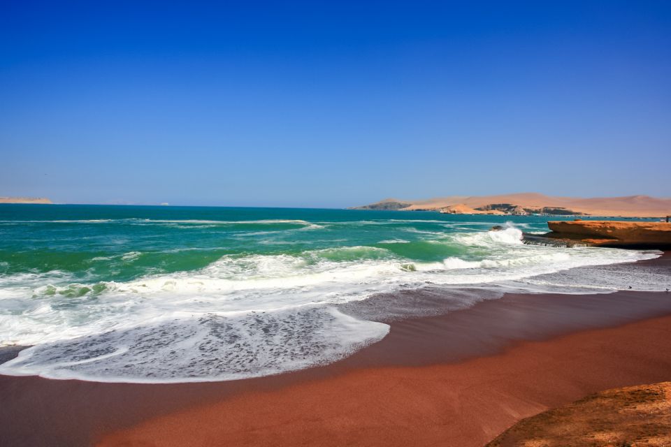 From Paracas: Paracas National Reserve Private Tour - Customer Feedback