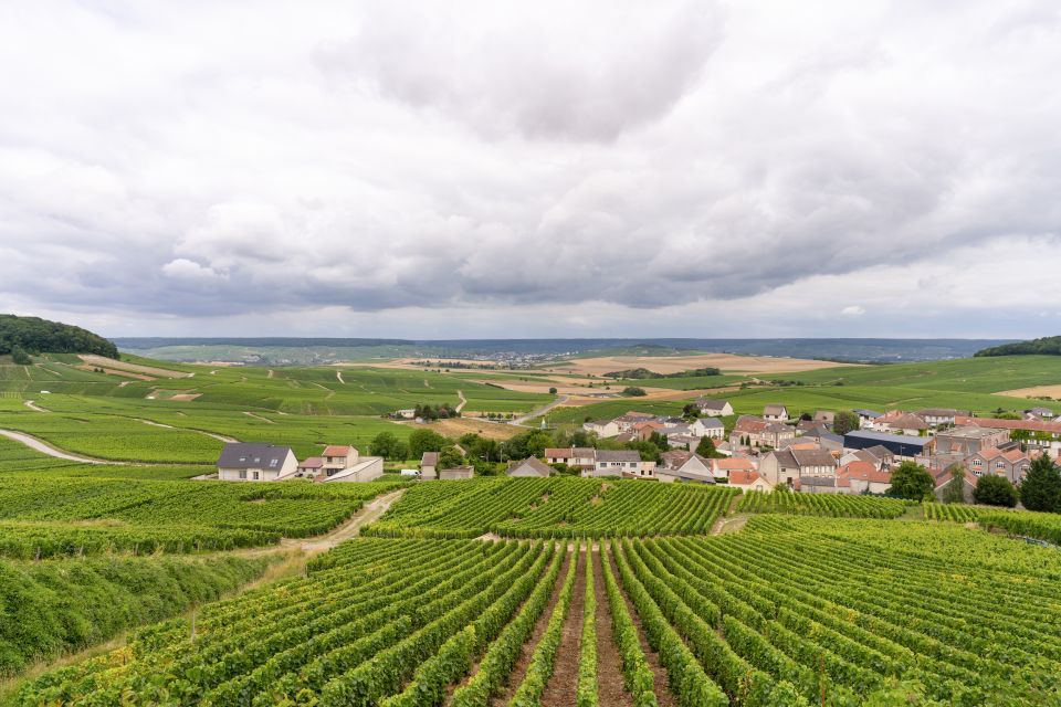 From Paris: Day Trip to Champagne With 8 Tastings & Lunch - Customer Reviews and Feedback