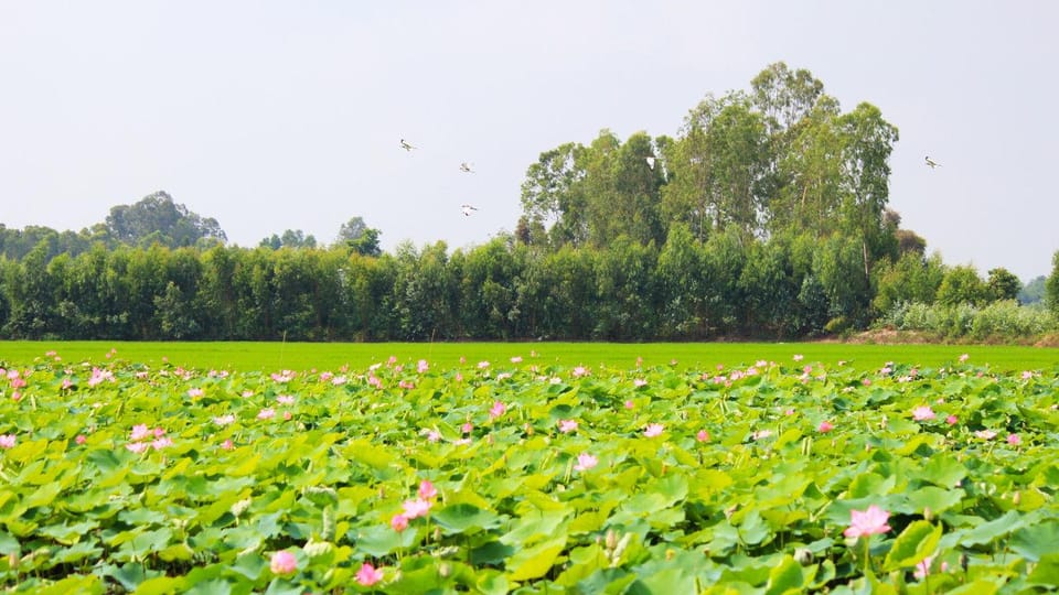 From Phu Quoc: Mekong Delta Floating Market 3 Day Exit HCM - Cultural Experiences Along the Way