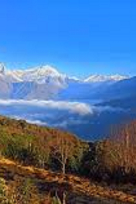 From Pokhara: 3 Night 4 Days Mohare Danda & Poon Hill Trek - Booking Information and Pricing