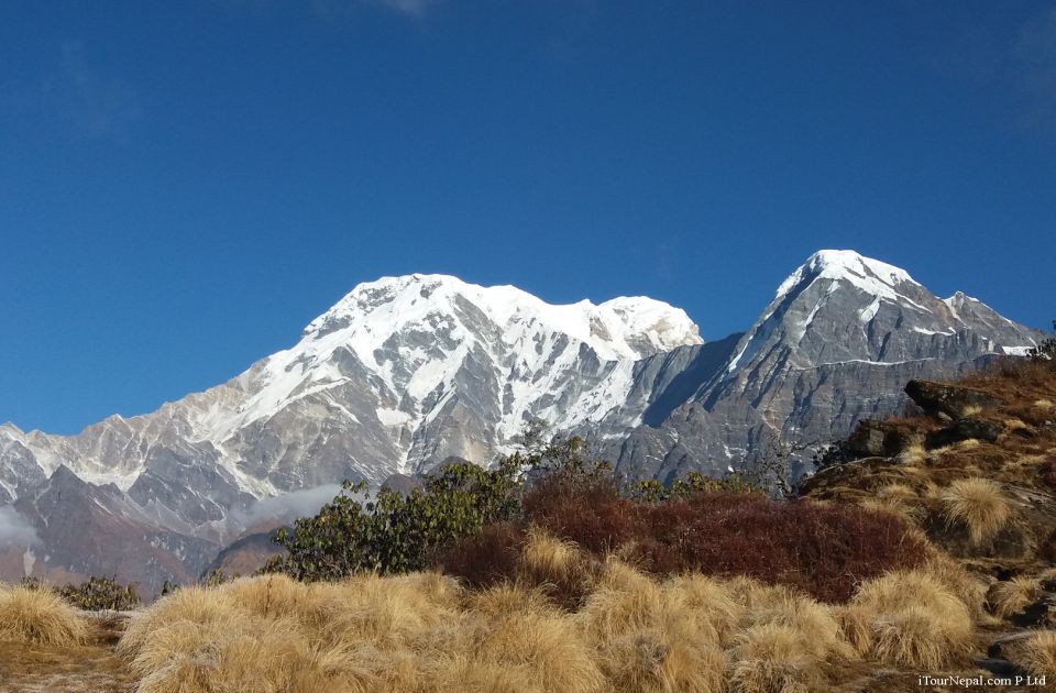 From Pokhara: 6-Day Mardi Himal Base Camp Trek - Best Time to Trek