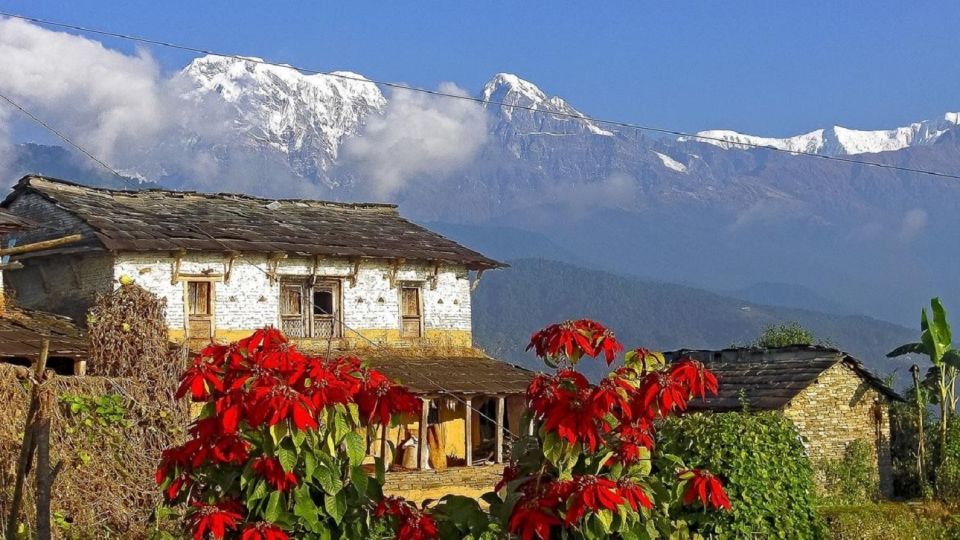 From Pokhara: Guided Day Hike With Annapurna Panoramic View - Customer Feedback