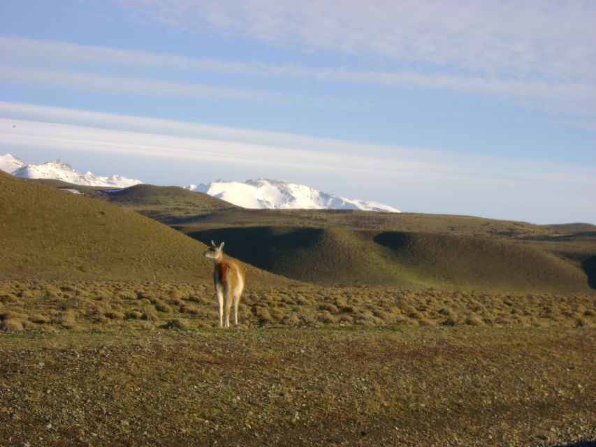 From Puerto Natales: Torres Del Paine National Park Trip - Glacier Experience