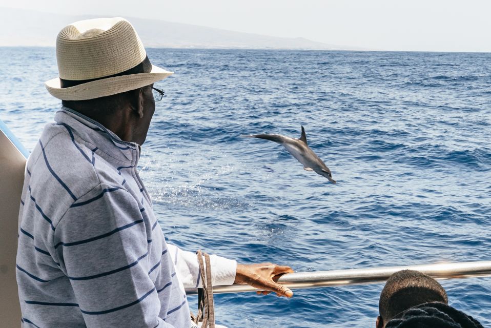 From Puerto Rico De Gran Canaria: Dolphin Watching Cruise - Booking and Cancellation Policy