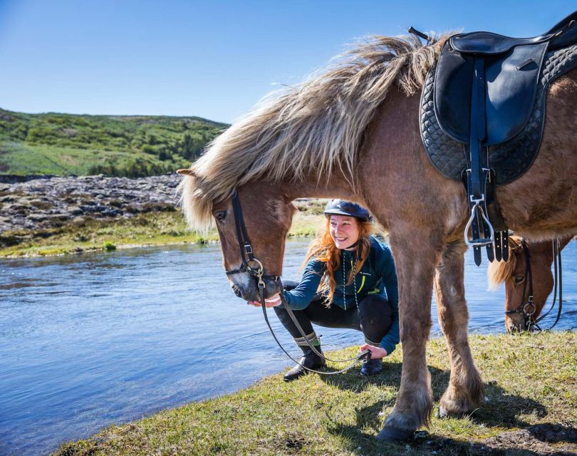 From Reykjavík: Icelandic Horse Riding Tour in Lava Fields - Booking Information