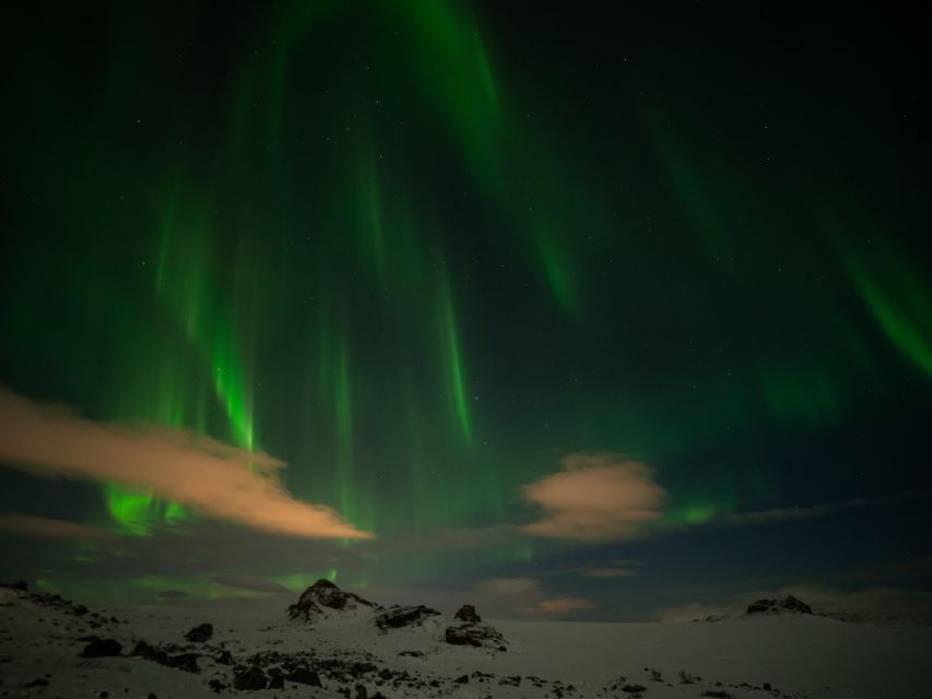 From Reykjavik: Northern Lights Tour With Hot Cocoa & Photos - What to Expect