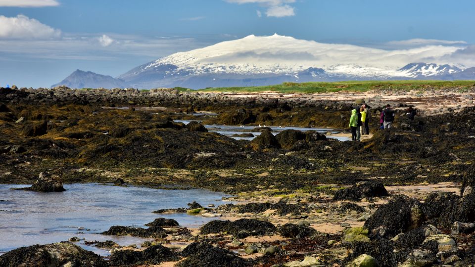 From Reykjavik: Snaefellsnes National Park - Small Group - Customer Feedback