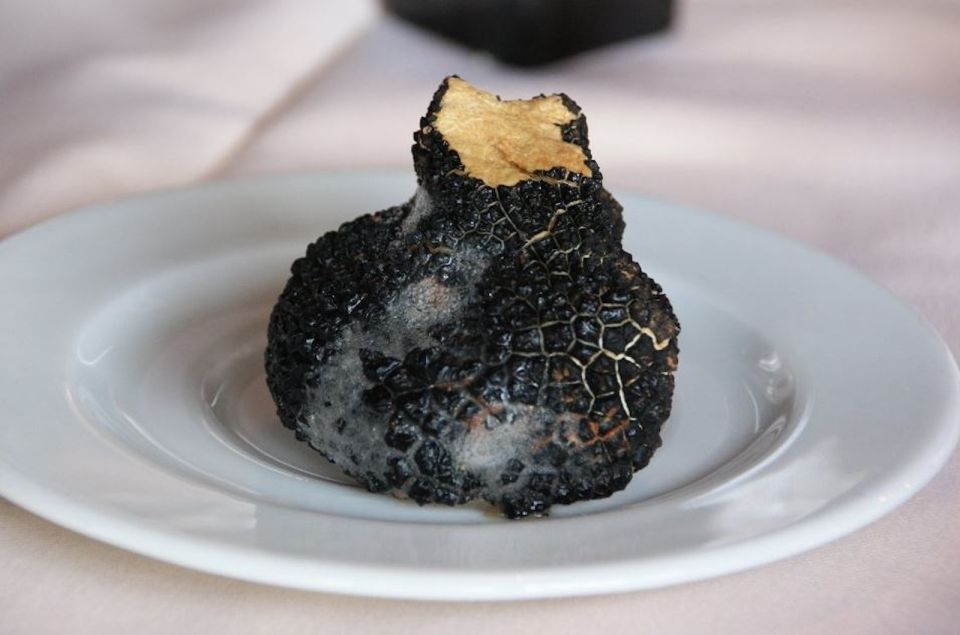 From Rovinj: Istria in 1 Day Tour With Truffle Tasting - Customer Feedback