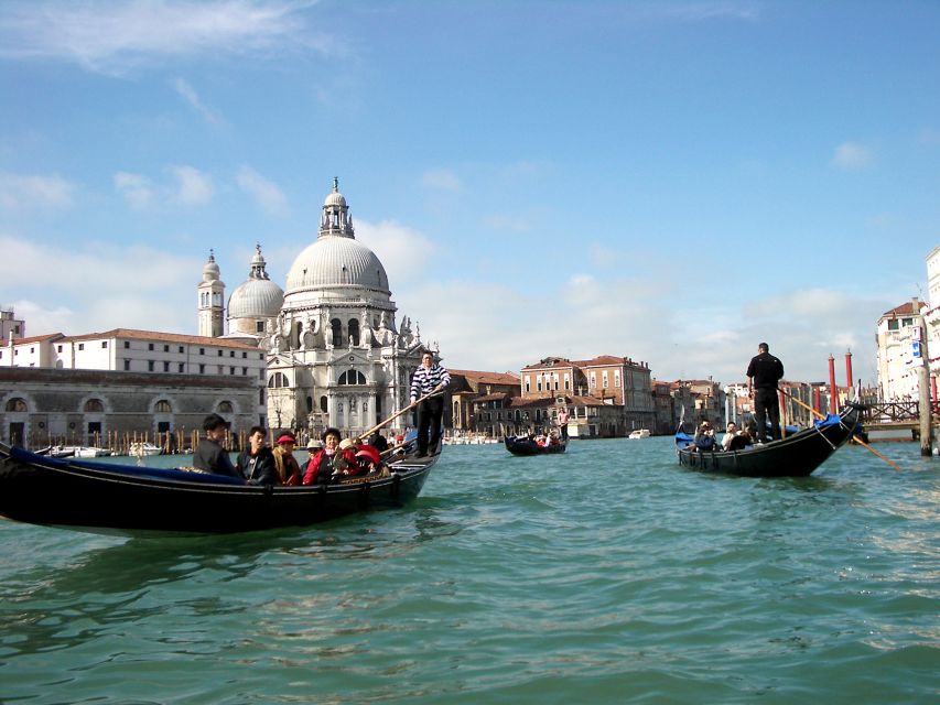 From Rovinj: Venice Boat Trip With Day or One-Way Option - Reviews and Ratings