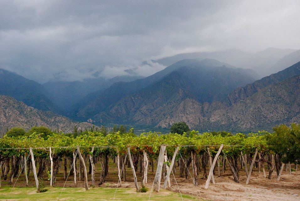 From Salta: Cafayate and the Imposing Quebrada De Las Conchas - Transportation Options