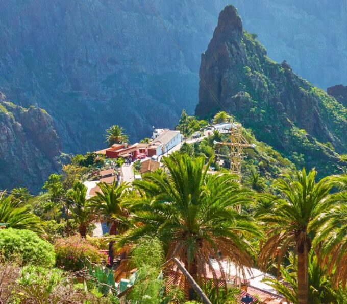 From Santa Cruz De Tenerife: Masca & Garachico Private Trip - Millenary Drago