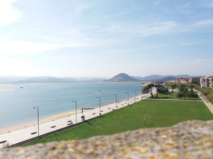 From Santander: Gastronomic Tour - Anchovy Factory Visit