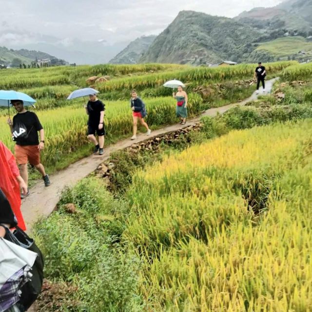 From Sapa : 1 Day Amazing Sapa Trek to Terrace Rice Field - Preparation Tips