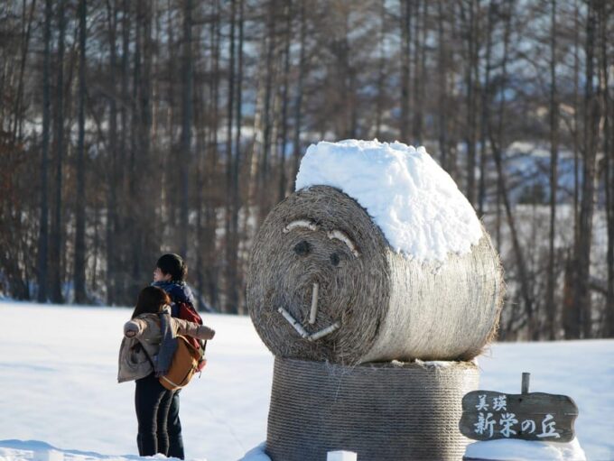 From Sapporo: Private Customized Day Tour to Biei+Furano - Nearby Attractions in Sapporo