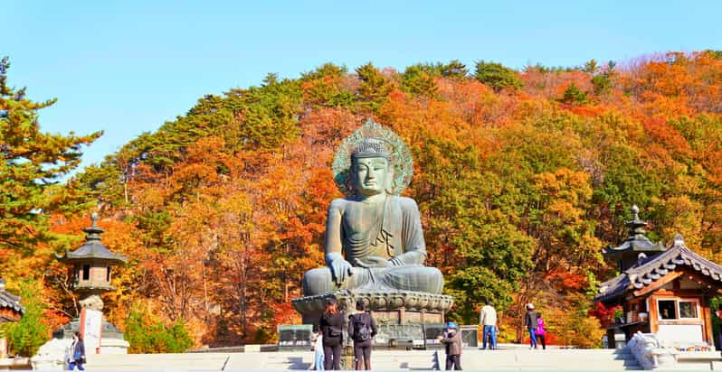 From Seoul: Seoraksan Maple Mountain With Cable Car - Starting Location and Transportation