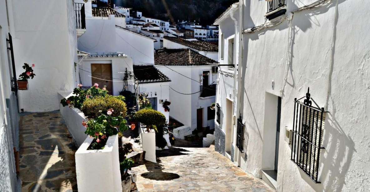 From Seville: White Villages Tour - Booking Information