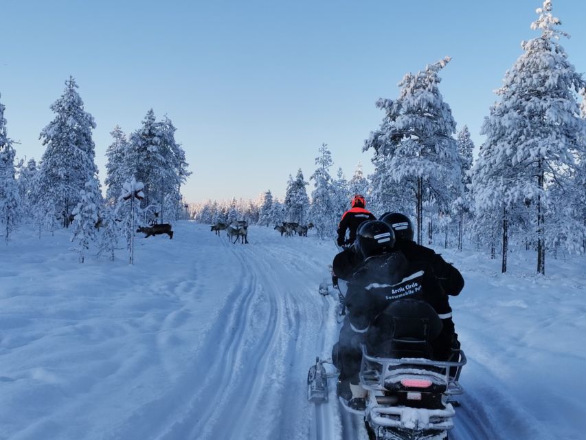 From Sirkka: Snow Village Guided Snowmobile Expedition - Booking Process